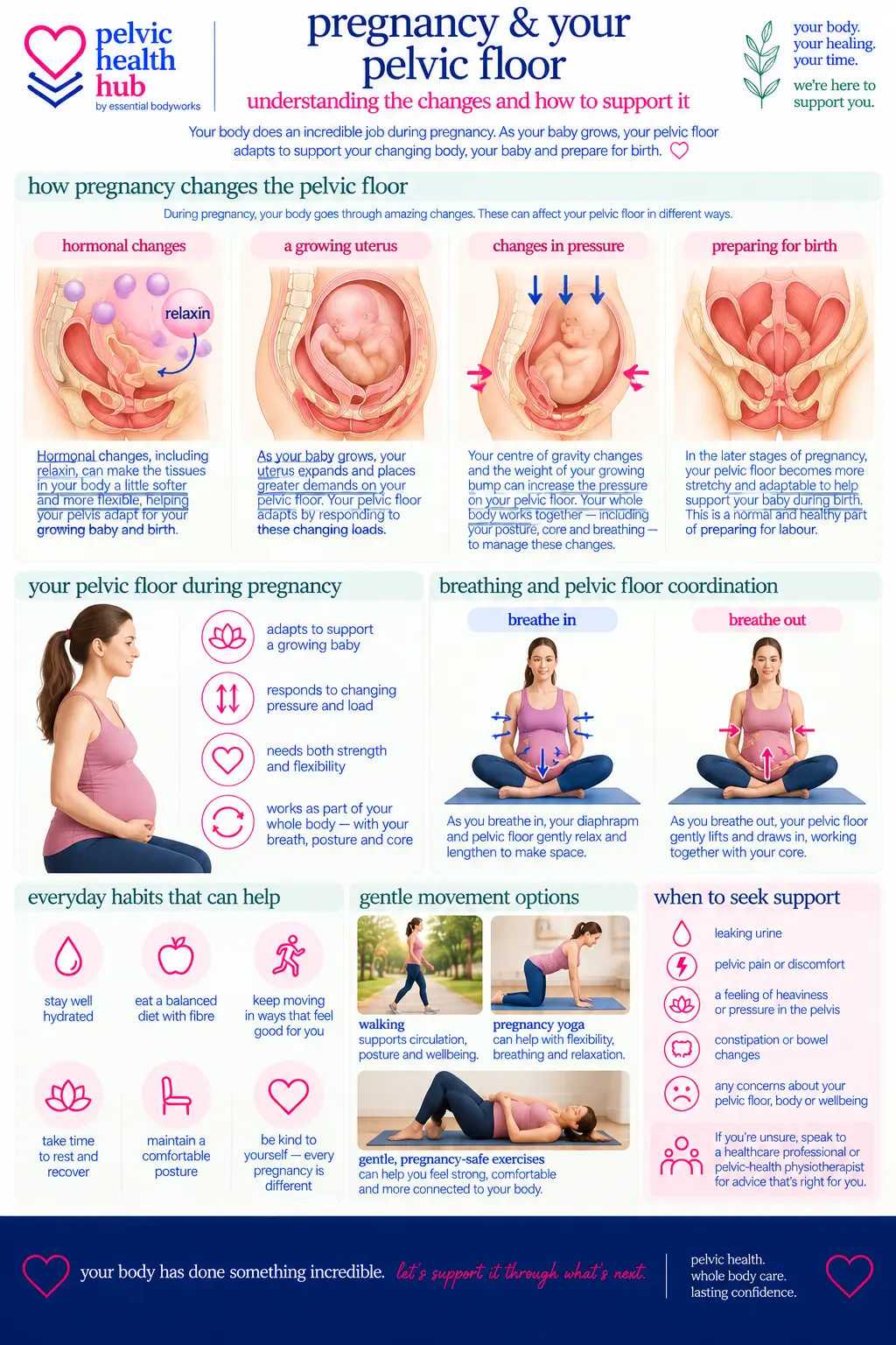 Pelvic Health During Pregnancy — Essential Bodyworks Pelvic Health Hub illustration