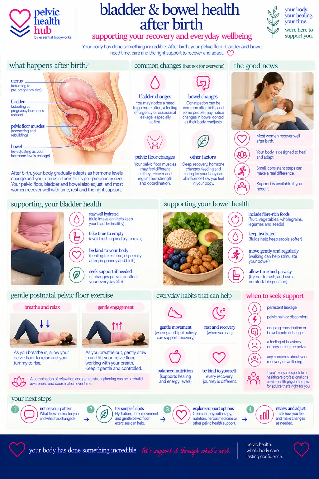 Postnatal Pelvic Health & Recovery — Essential Bodyworks Pelvic Health Hub illustration