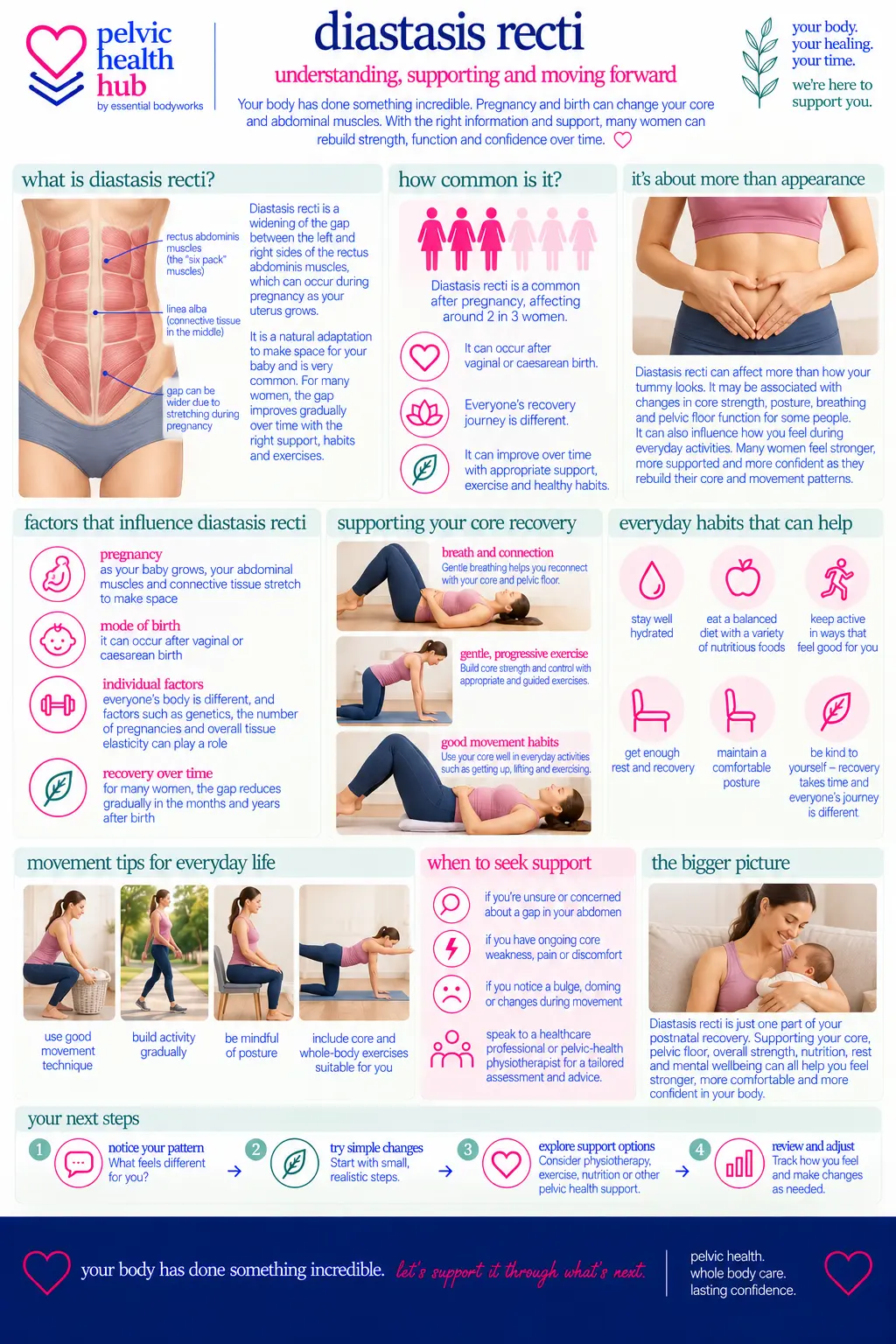 Diastasis Recti & Core Recovery — Essential Bodyworks Pelvic Health Hub illustration