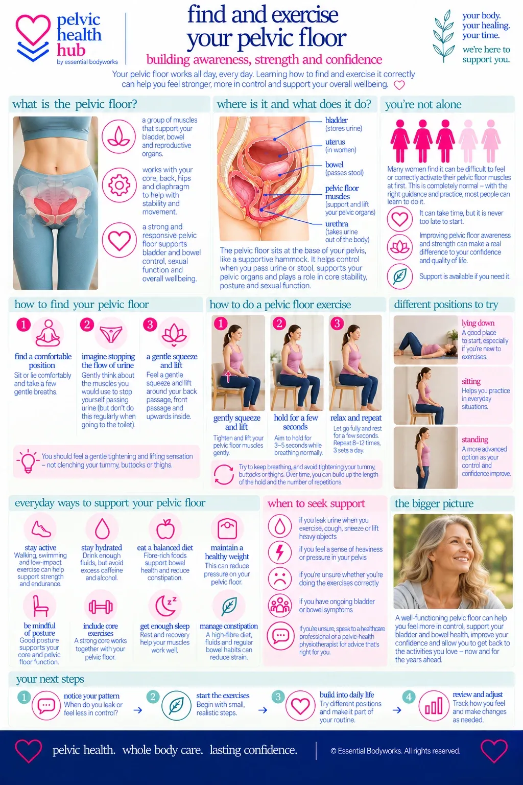 How Do I Find & Exercise My Pelvic Floor? — Essential Bodyworks Pelvic Health Hub illustration