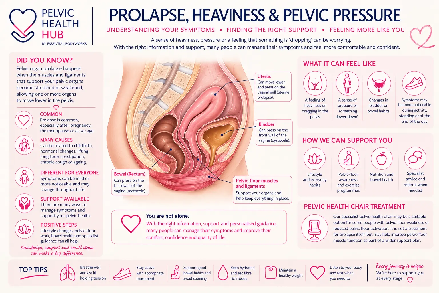 Prolapse, Heaviness & Pelvic Pressure — Essential Bodyworks Pelvic Health Hub illustration