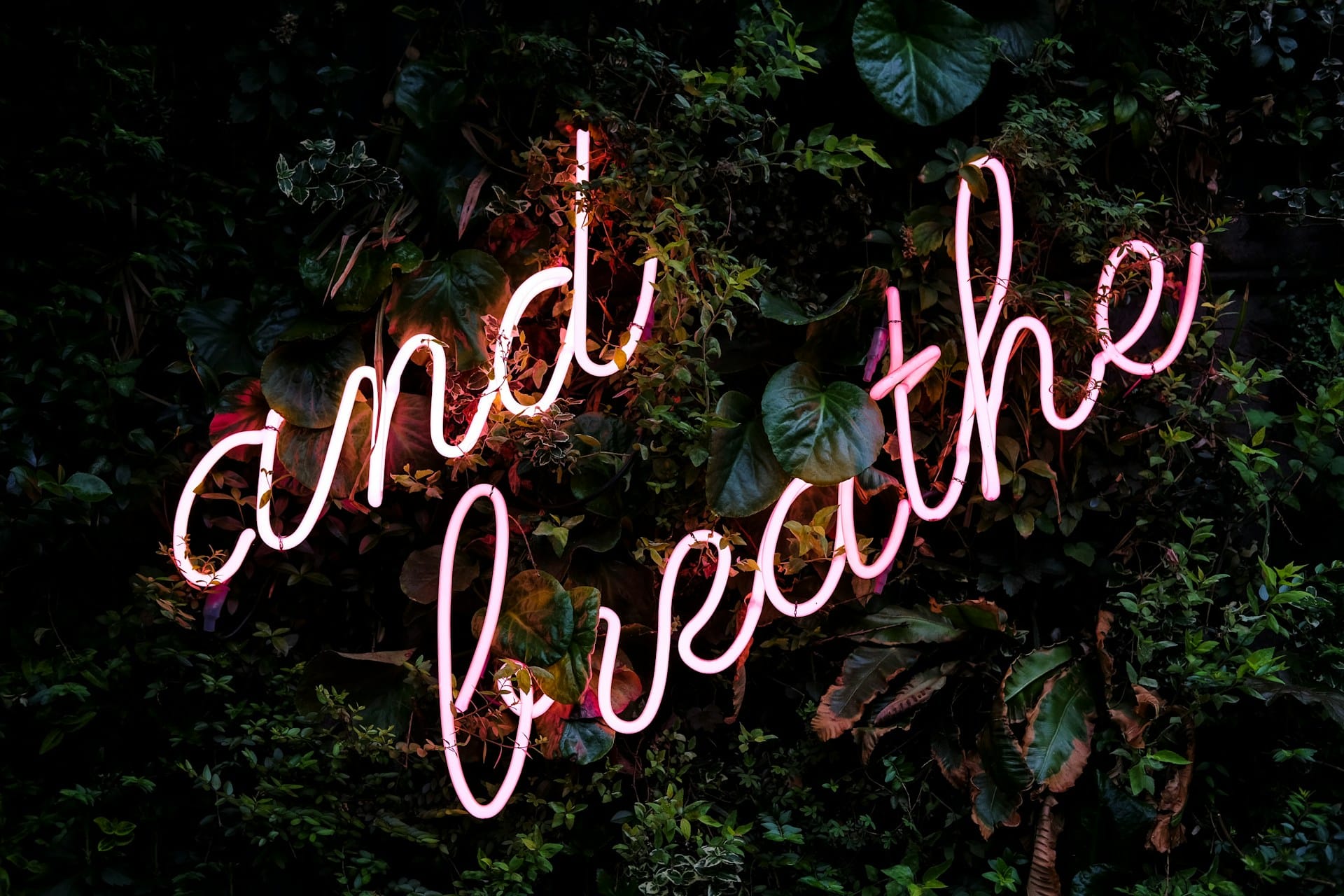 And Breathe - neon sign surrounded by plants