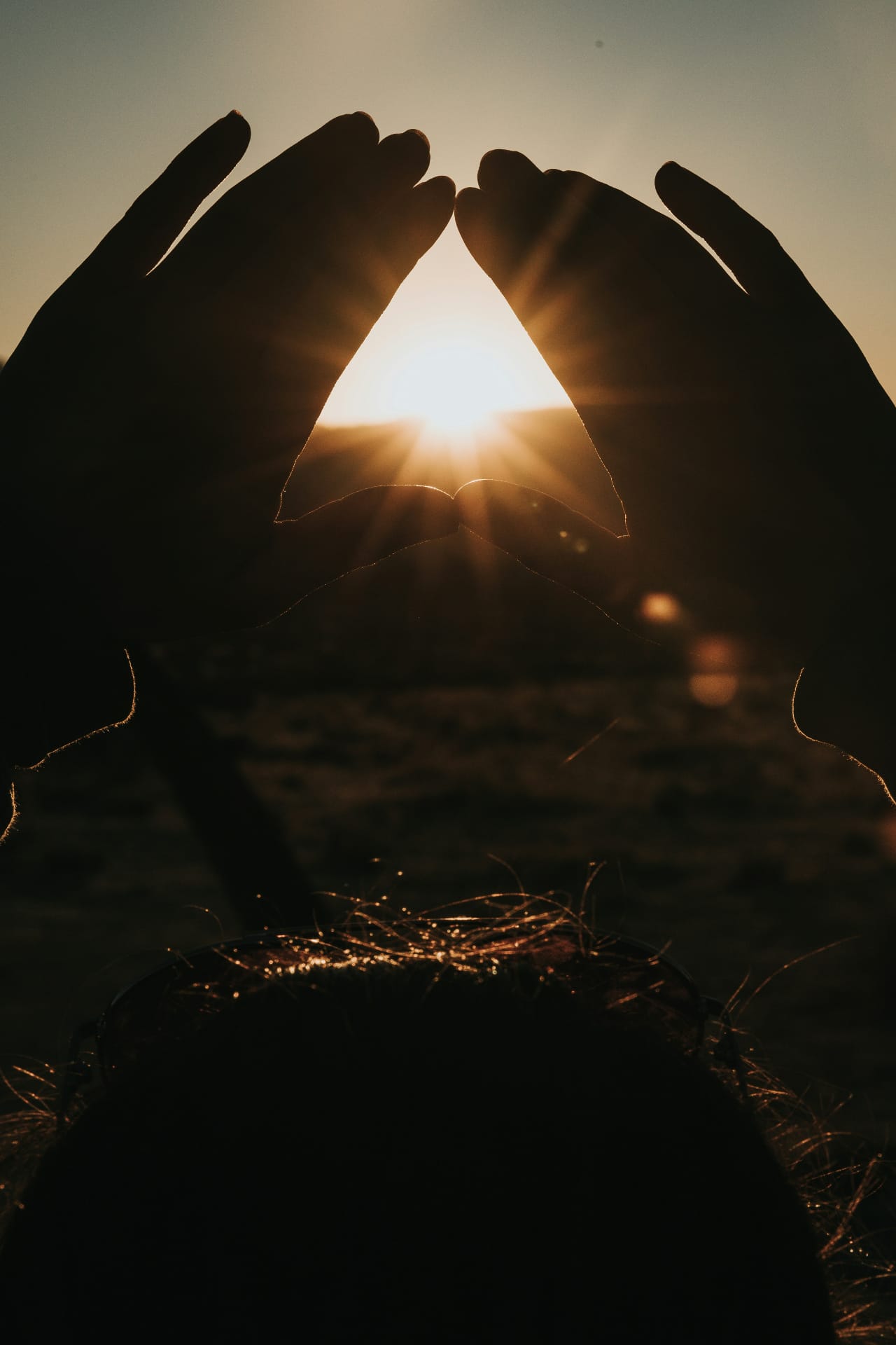 Reiki Level IV (Teacher)